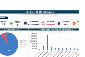 Project Management Executive Dashboard preview